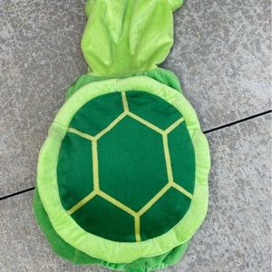 Turtle costume